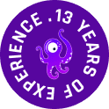13 years of experience