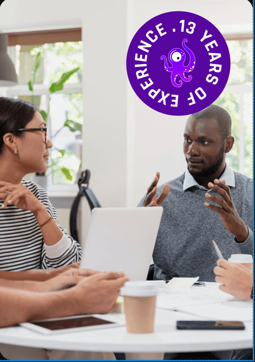 Electric Octopus team — 13 years of experience